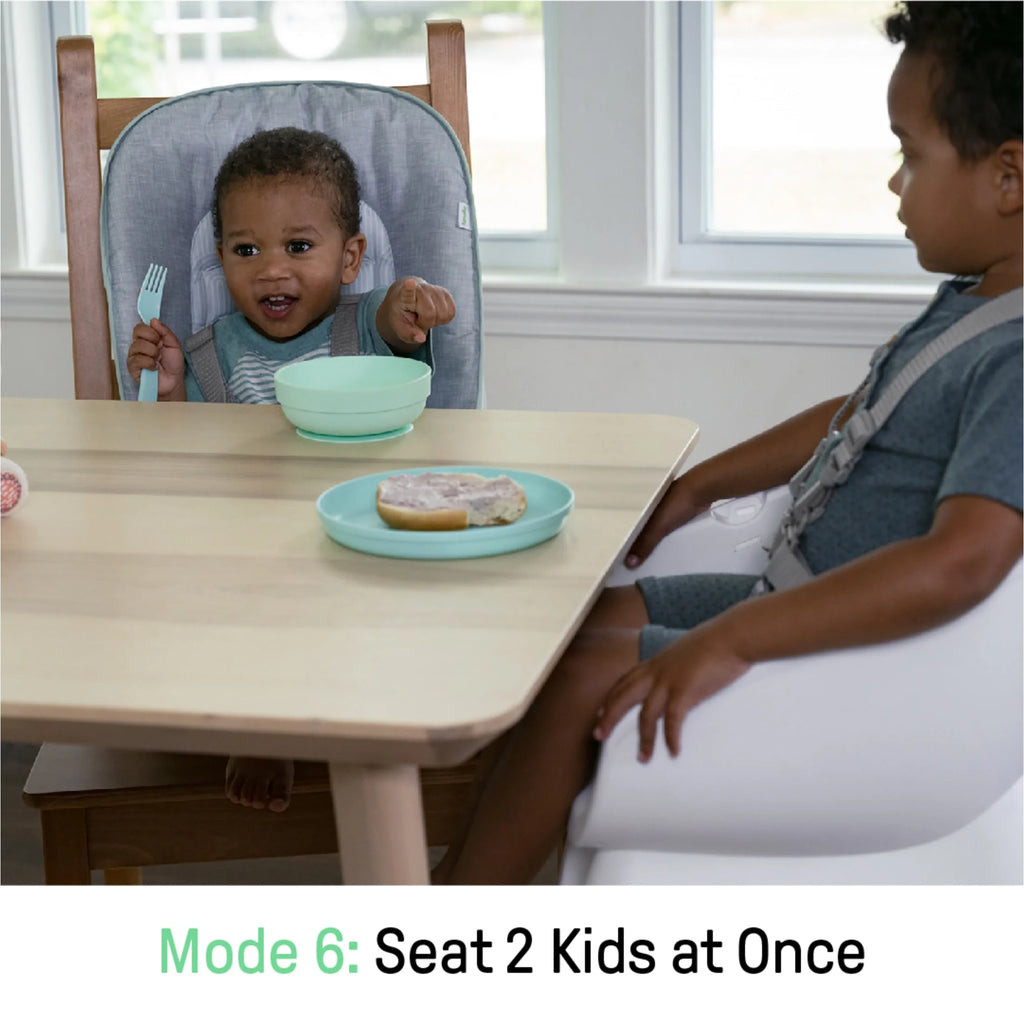 Beanstalk Baby to Big Kid 6-In-1 High Chair, Booster Seat and More, Newborn to 5 Yrs - Ray