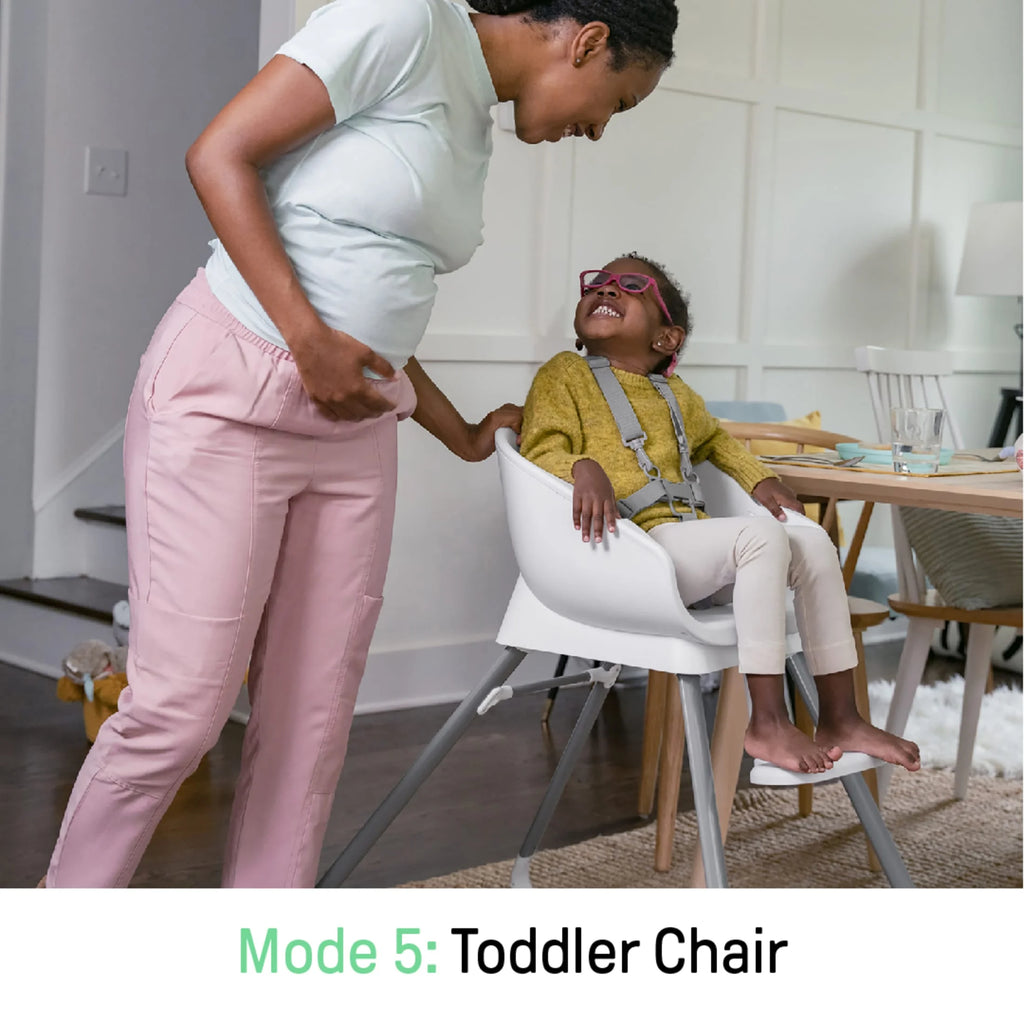 Beanstalk Baby to Big Kid 6-In-1 High Chair, Booster Seat and More, Newborn to 5 Yrs - Ray