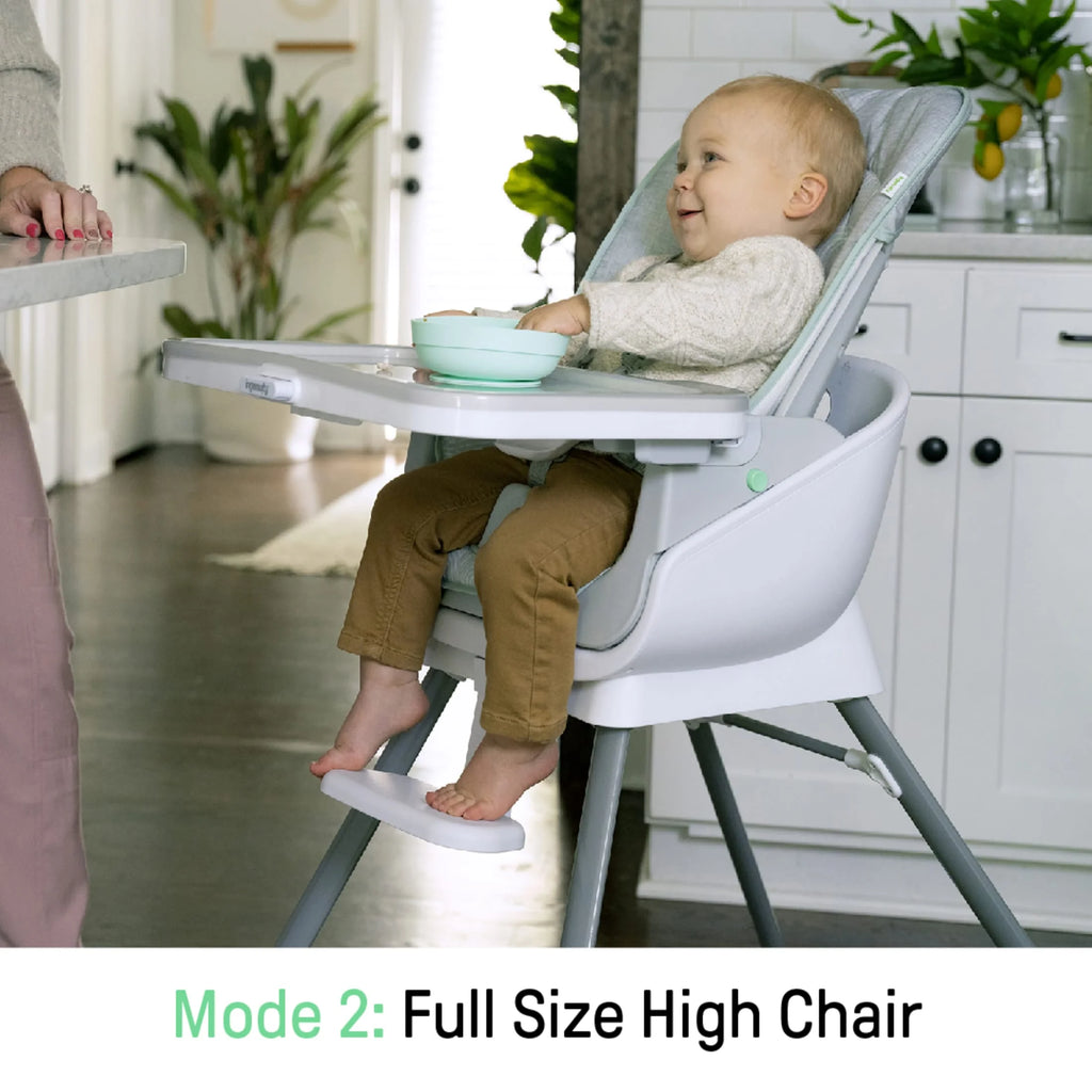 Beanstalk Baby to Big Kid 6-In-1 High Chair, Booster Seat and More, Newborn to 5 Yrs - Ray