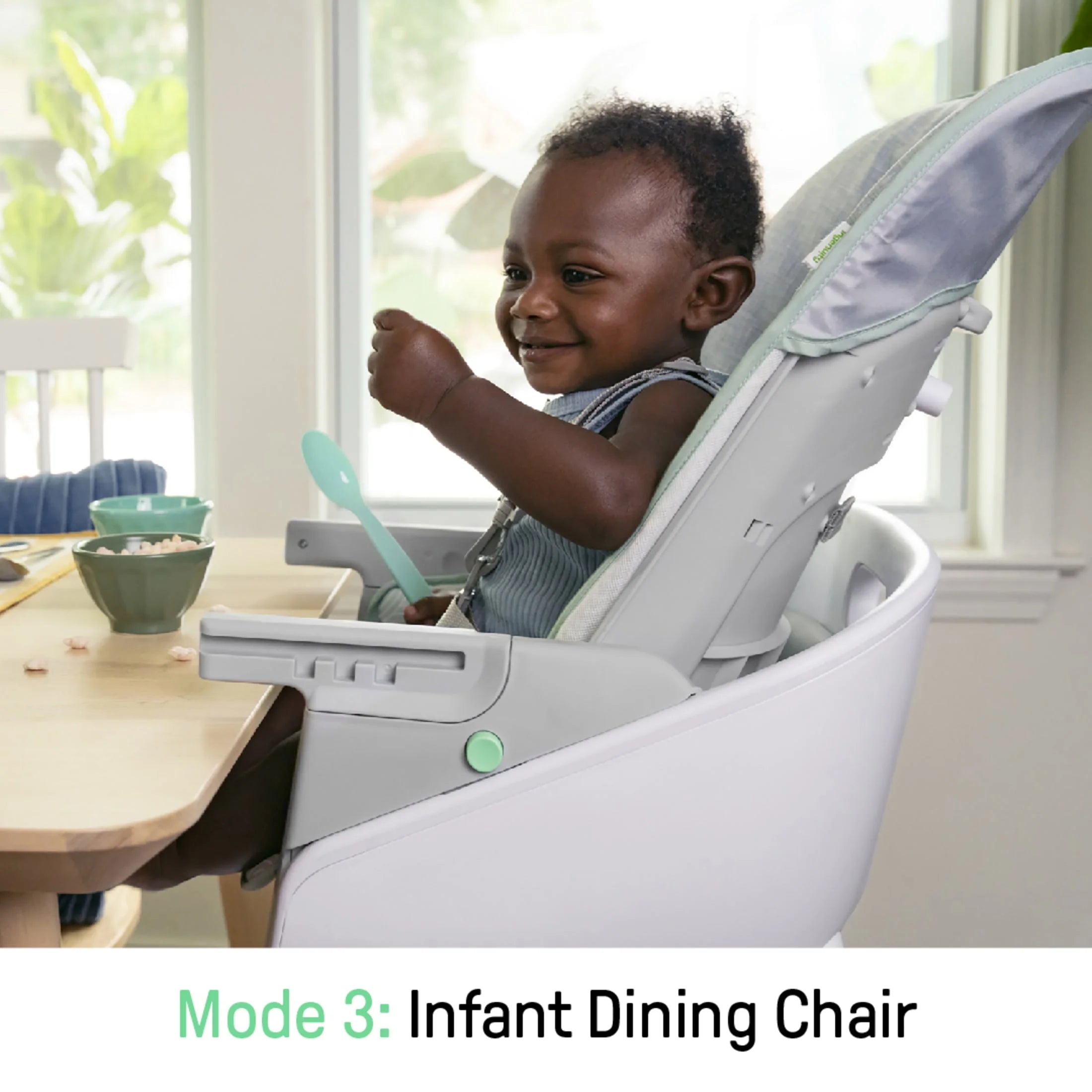 Beanstalk Baby to Big Kid 6-In-1 High Chair, Booster Seat and More, Newborn to 5 Yrs - Ray